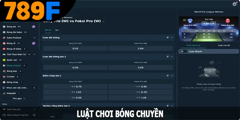 Luật chơi bóng chuyền chi tiết Luật chơi bóng chuyền chi tiết